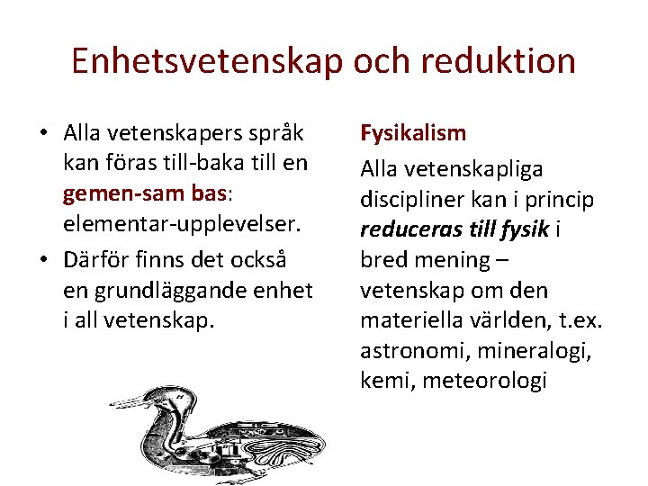 Enhetsvetenskap och reduktion • Alla vetenskapers språk kan föras till-baka till en gemen-sam bas: