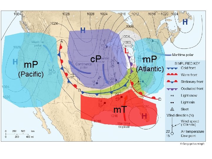 m. P c. P m. P (Atlantic) (Pacific) m. T 