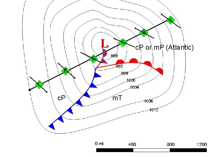 c. P or m. P (Atlantic) c. P m. T 