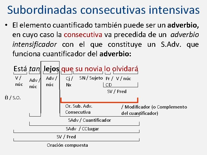 Subordinadas consecutivas intensivas • El elemento cuantificado también puede ser un adverbio, en cuyo