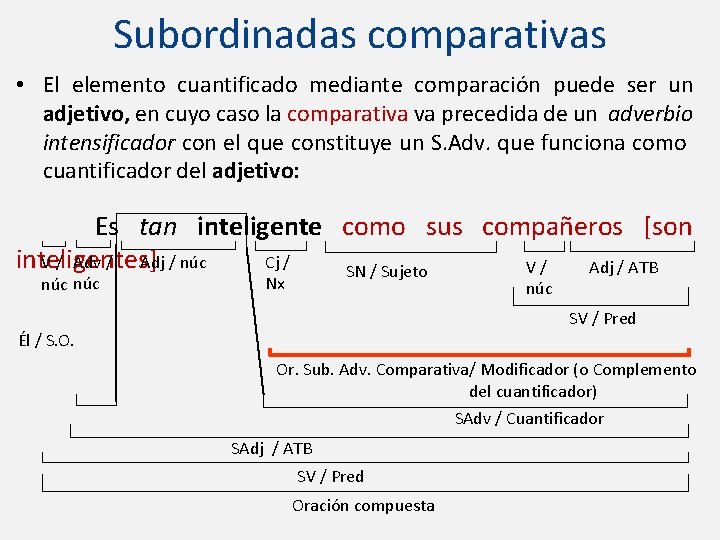 Subordinadas comparativas • El elemento cuantificado mediante comparación puede ser un adjetivo, en cuyo