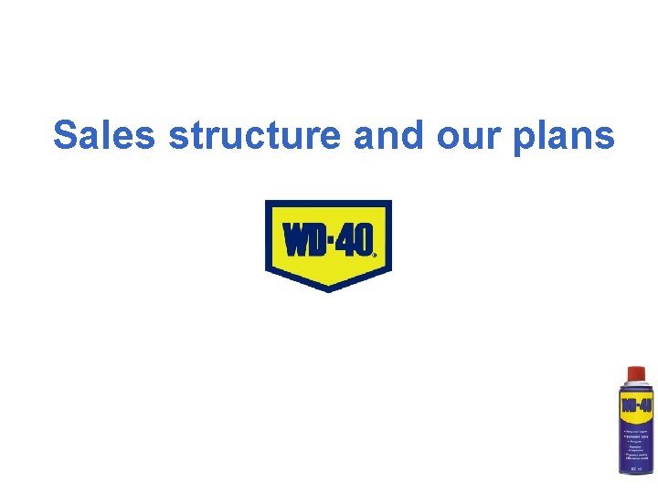 Sales structure and our plans 