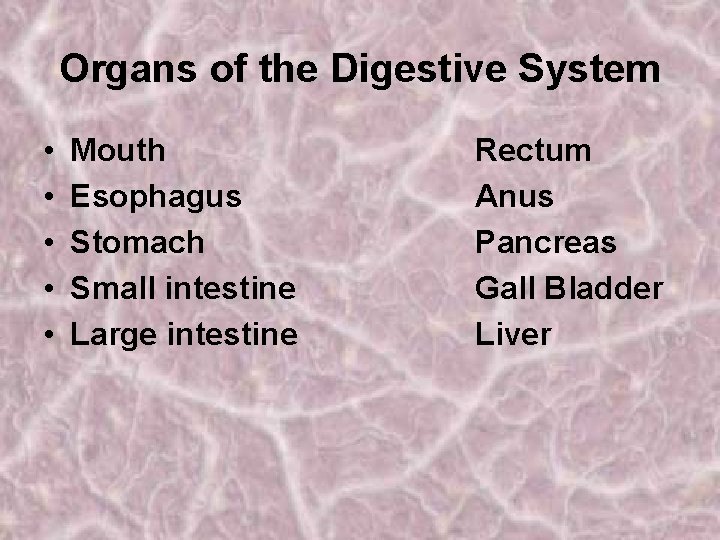 Organs of the Digestive System • • • Mouth Esophagus Stomach Small intestine Large