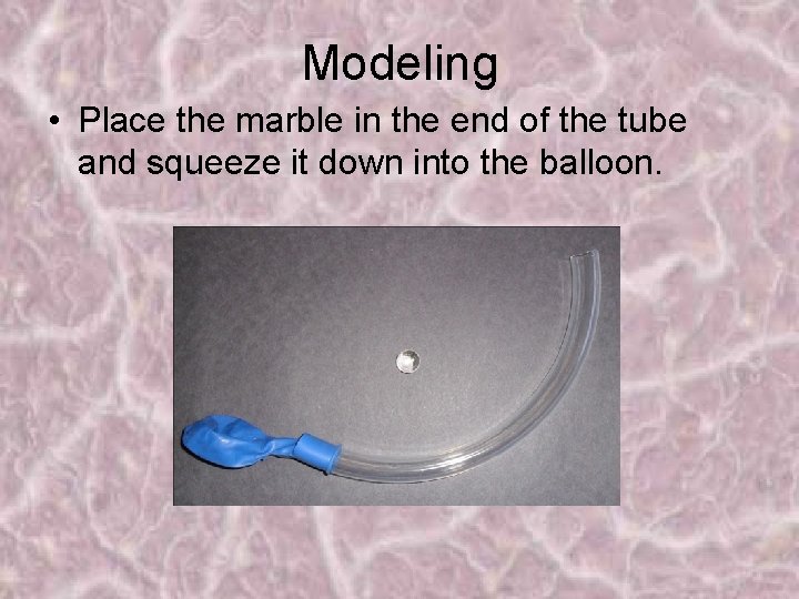 Modeling • Place the marble in the end of the tube and squeeze it