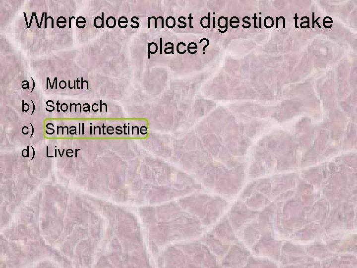 Where does most digestion take place? a) b) c) d) Mouth Stomach Small intestine