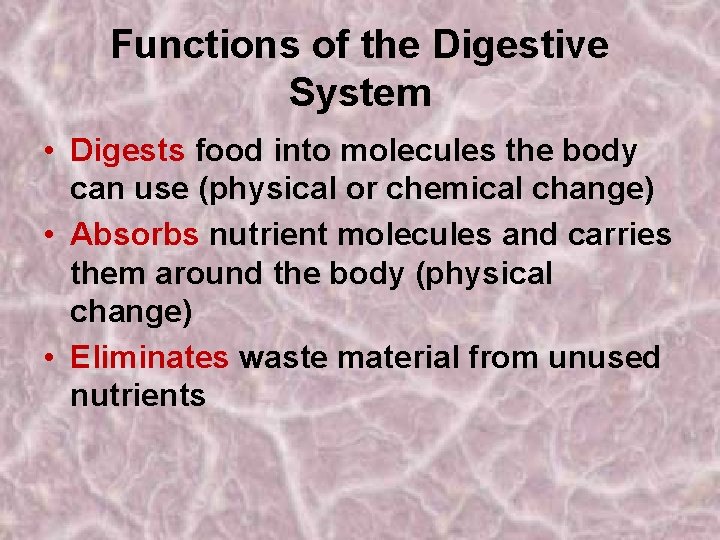 Functions of the Digestive System • Digests food into molecules the body can use