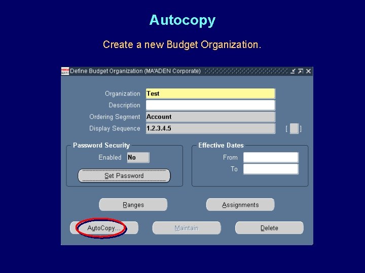 Autocopy Create a new Budget Organization. 