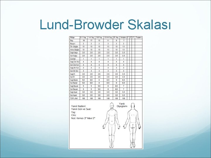 Lund-Browder Skalası 