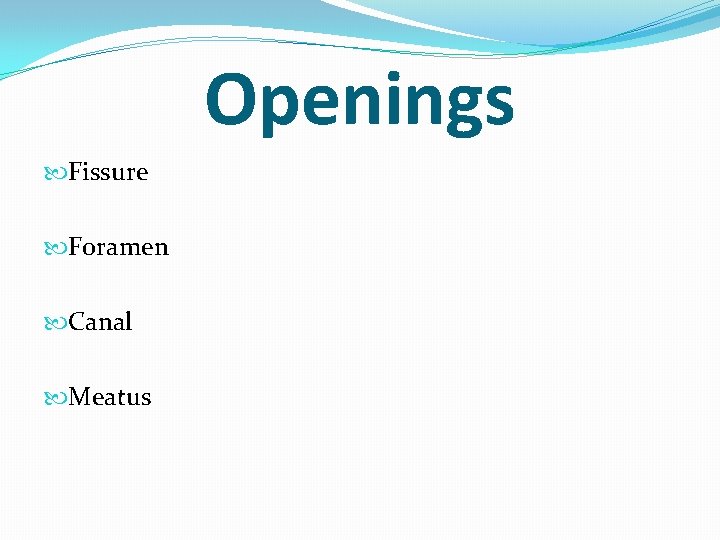 Openings Fissure Foramen Canal Meatus 