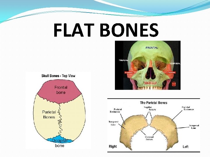 FLAT BONES 