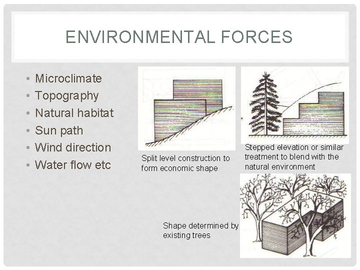 ENVIRONMENTAL FORCES • • • Microclimate Topography Natural habitat Sun path Wind direction Water