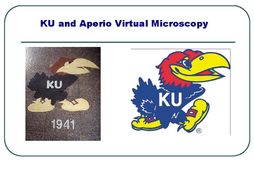 KU and Aperio Virtual Microscopy 