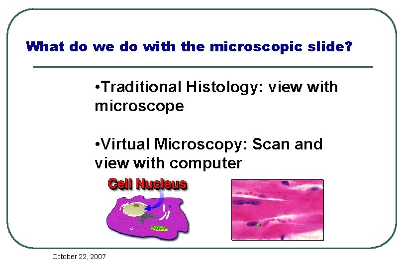 What do we do with the microscopic slide? • Traditional Histology: view with microscope