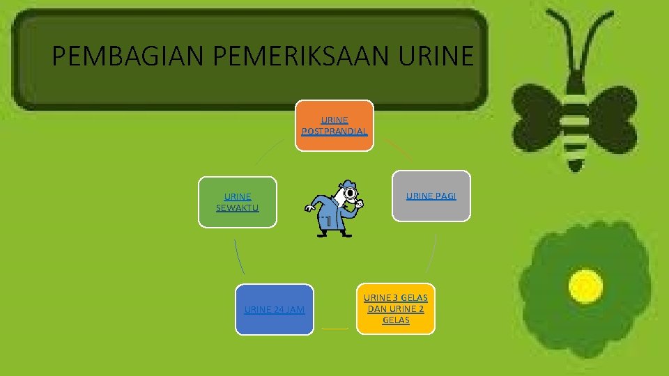 PEMBAGIAN PEMERIKSAAN URINE POSTPRANDIAL URINE SEWAKTU URINE 24 JAM URINE PAGI URINE 3 GELAS