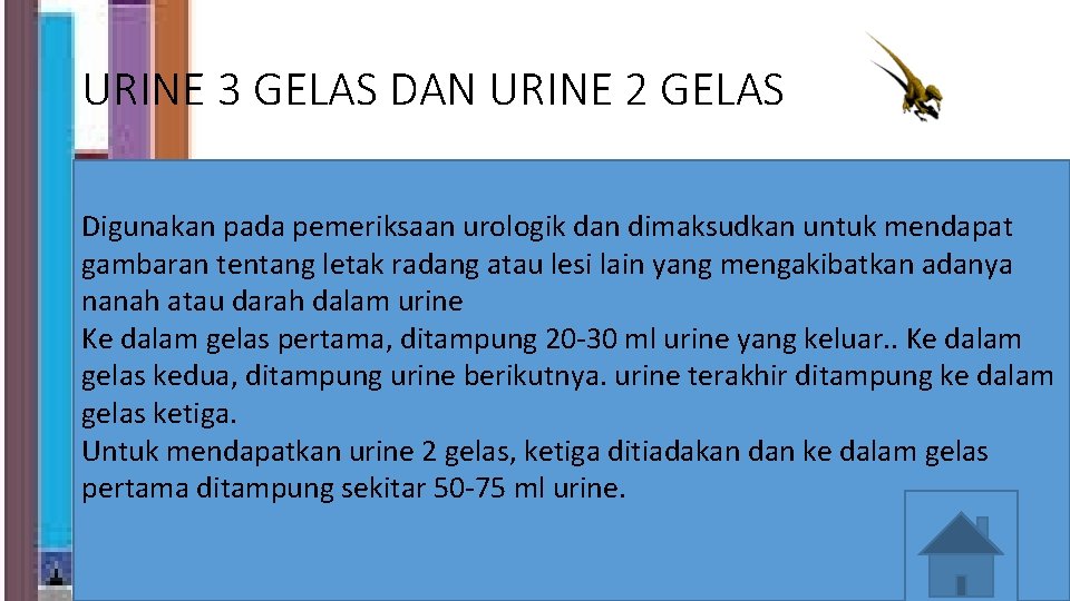 URINE 3 GELAS DAN URINE 2 GELAS Digunakan pada pemeriksaan urologik dan dimaksudkan untuk