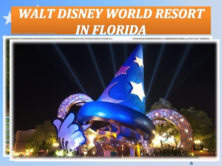 WALT DISNEY WORLD RESORT IN FLORIDA 