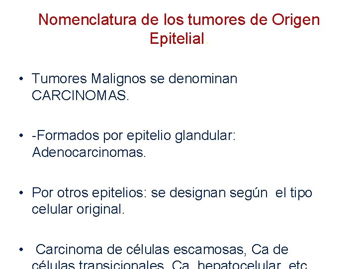 Nomenclatura de los tumores de Origen Epitelial. • Tumores Malignos se denominan CARCINOMAS. •