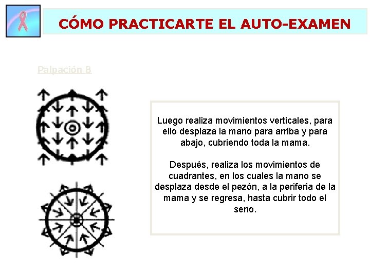 CÓMO PRACTICARTE EL AUTO-EXAMEN Palpación B Luego realiza movimientos verticales, para ello desplaza la