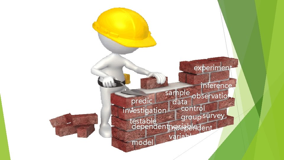 Word Wall experiment inference sample observation predic data control t investigation group survey testable