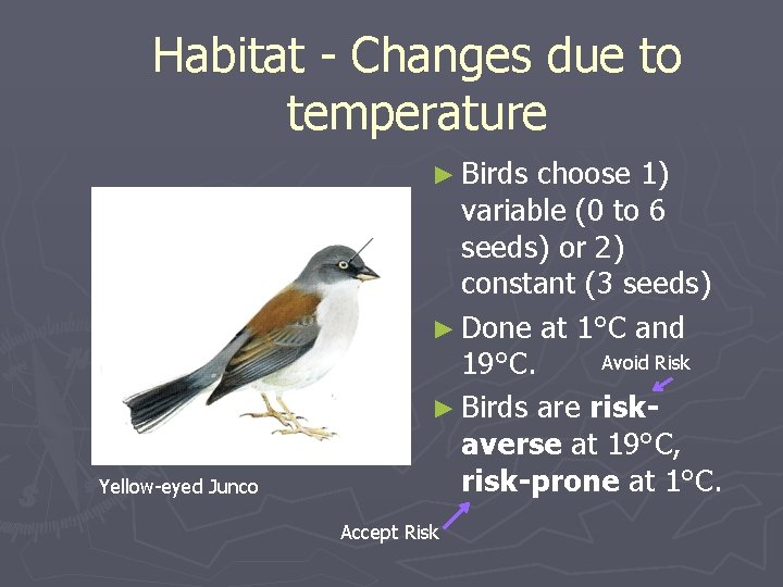 Habitat - Changes due to temperature ► Birds Yellow-eyed Junco choose 1) variable (0