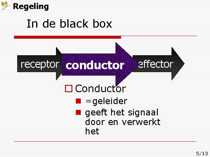 Regeling In de black box receptor conductor effector o Conductor n =geleider n geeft