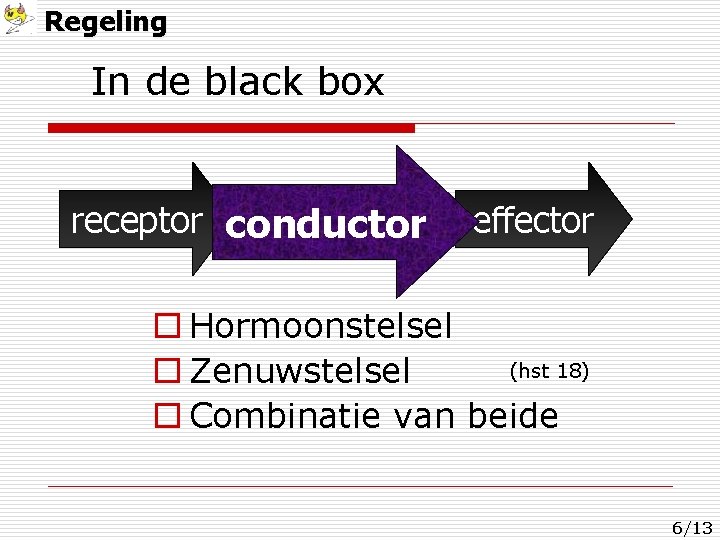 Regeling In de black box receptor conductor effector o Hormoonstelsel (hst 18) o Zenuwstelsel