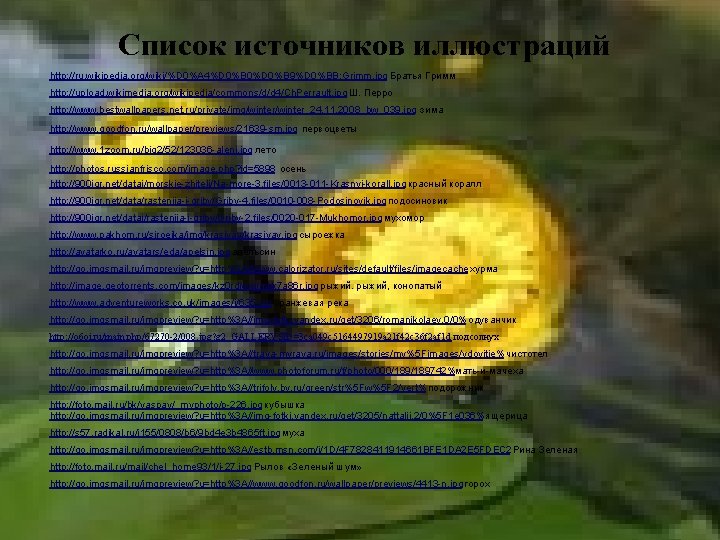 Список источников иллюстраций http: //ru. wikipedia. org/wiki/%D 0%A 4%D 0%B 0%D 0%B 9%D 0%BB: