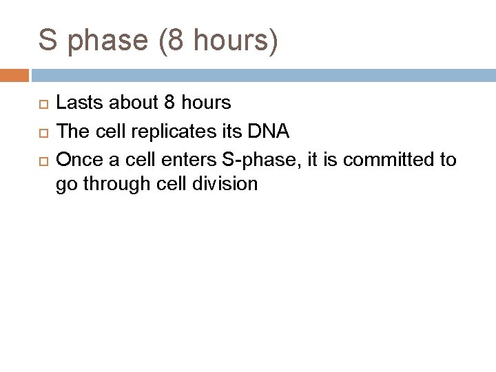 S phase (8 hours) Lasts about 8 hours The cell replicates its DNA Once