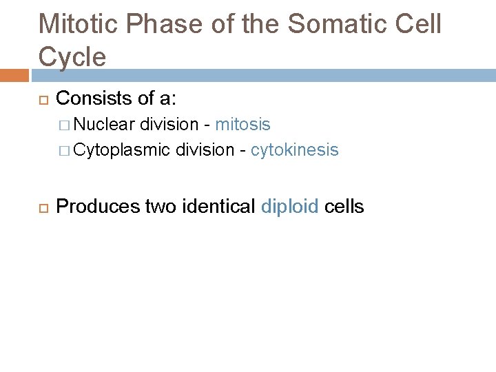 Mitotic Phase of the Somatic Cell Cycle Consists of a: � Nuclear division -