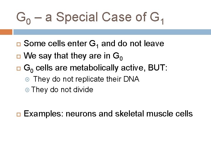 G 0 – a Special Case of G 1 Some cells enter G 1