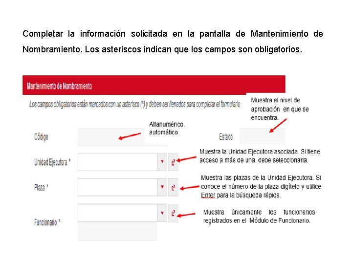 Completar la información solicitada en la pantalla de Mantenimiento de Nombramiento. Los asteriscos indican