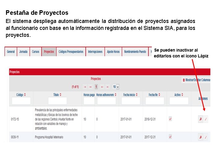 Pestaña de Proyectos El sistema despliega automáticamente la distribución de proyectos asignados al funcionario