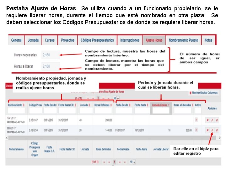 Pestaña Ajuste de Horas Se utiliza cuando a un funcionario propietario, se le requiere