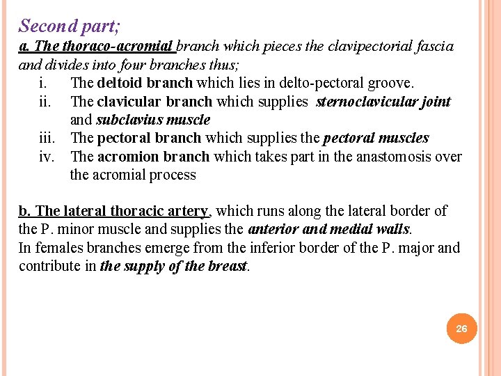 Second part; a. The thoraco-acromial branch which pieces the clavipectorial fascia and divides into