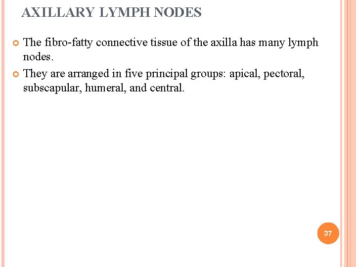 AXILLARY LYMPH NODES The fibro-fatty connective tissue of the axilla has many lymph nodes.