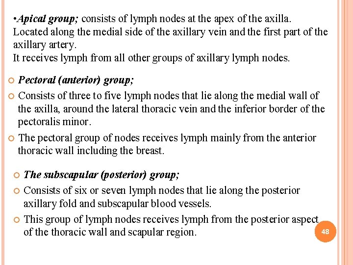  • Apical group; consists of lymph nodes at the apex of the axilla.