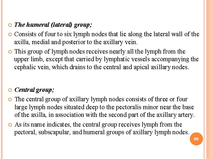  The humeral (lateral) group; Consists of four to six lymph nodes that lie