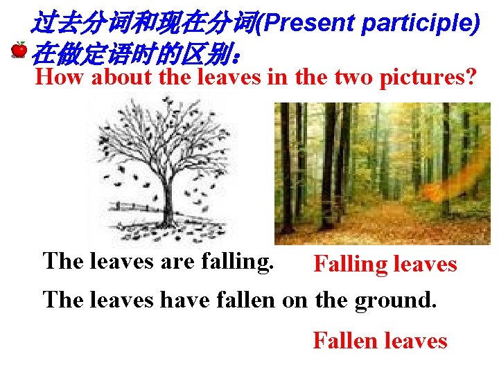 过去分词和现在分词(Present participle) 在做定语时的区别： How about the leaves in the two pictures? The leaves are