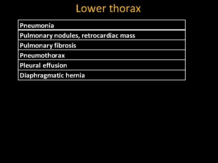 Lower thorax Pneumonia Pulmonary nodules, retrocardiac mass Pulmonary fibrosis Pneumothorax Pleural effusion Diaphragmatic hernia