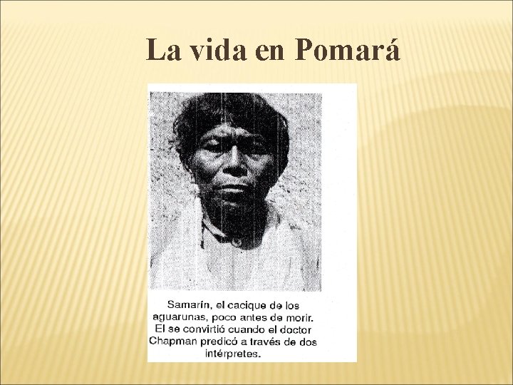 La vida en Pomará La vida en Pomará