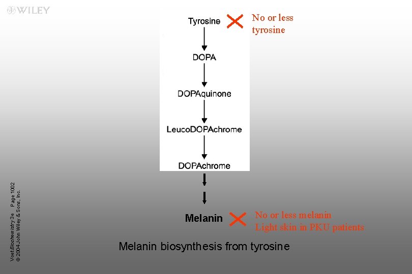 Voet Biochemistry 3 e Page 1002 © 2004 John Wiley & Sons, Inc. No