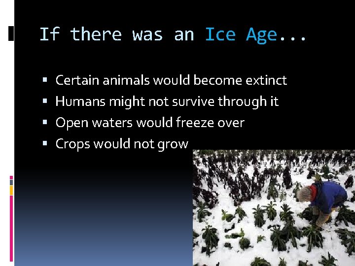 If there was an Ice Age. . . Certain animals would become extinct Humans