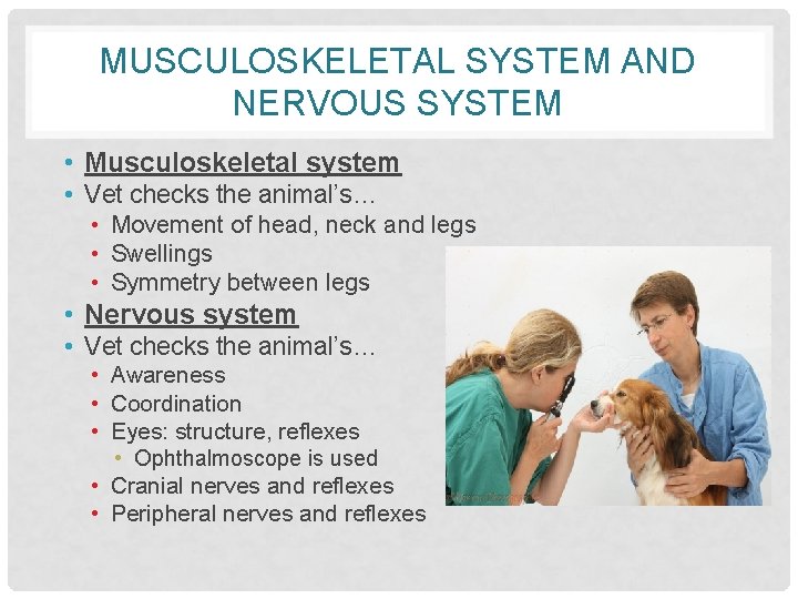 MUSCULOSKELETAL SYSTEM AND NERVOUS SYSTEM • Musculoskeletal system • Vet checks the animal’s… •