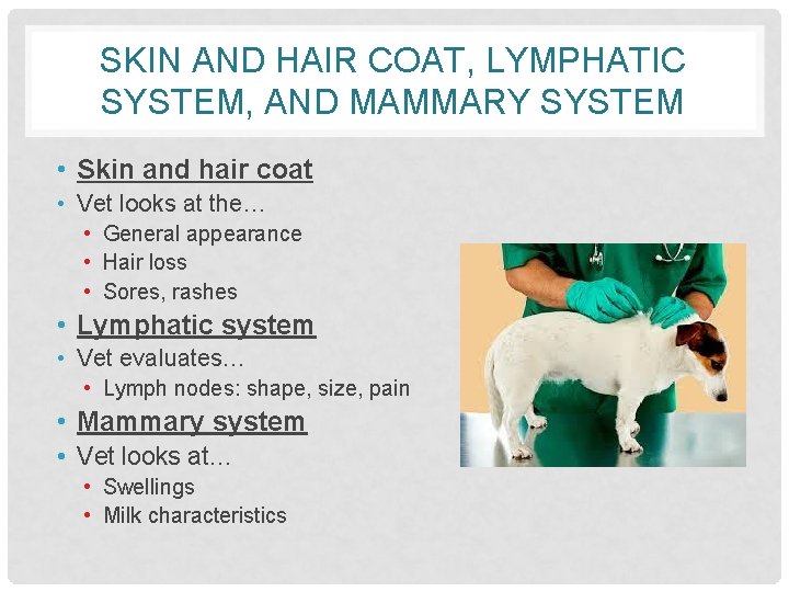SKIN AND HAIR COAT, LYMPHATIC SYSTEM, AND MAMMARY SYSTEM • Skin and hair coat