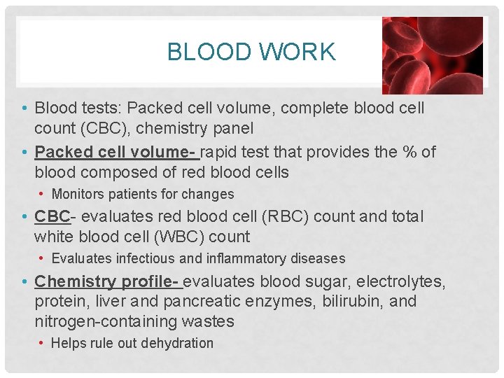 BLOOD WORK • Blood tests: Packed cell volume, complete blood cell count (CBC), chemistry
