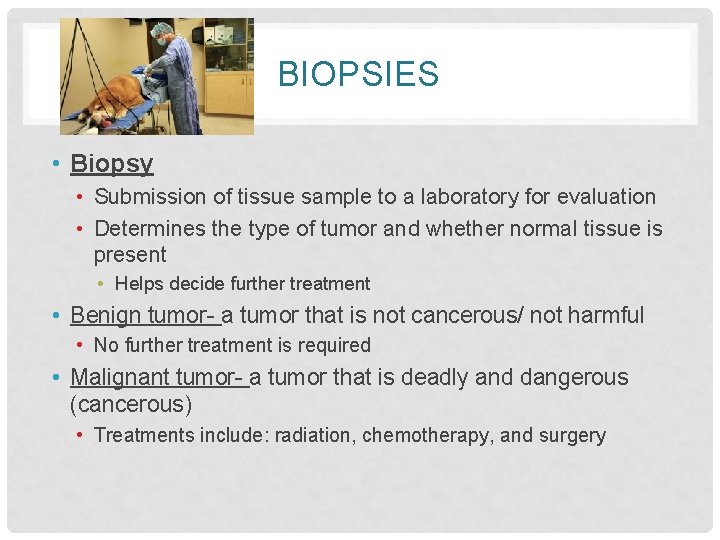 BIOPSIES • Biopsy • Submission of tissue sample to a laboratory for evaluation •