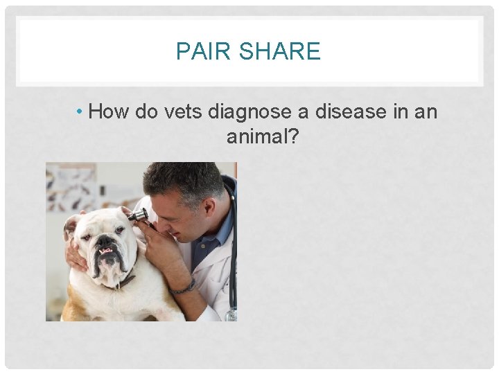 PAIR SHARE • How do vets diagnose a disease in an animal? 