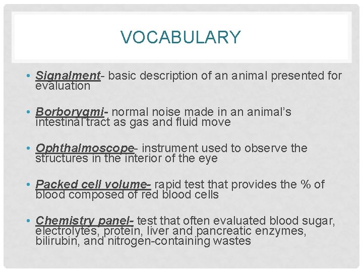 VOCABULARY • Signalment- basic description of an animal presented for evaluation • Borborygmi- normal