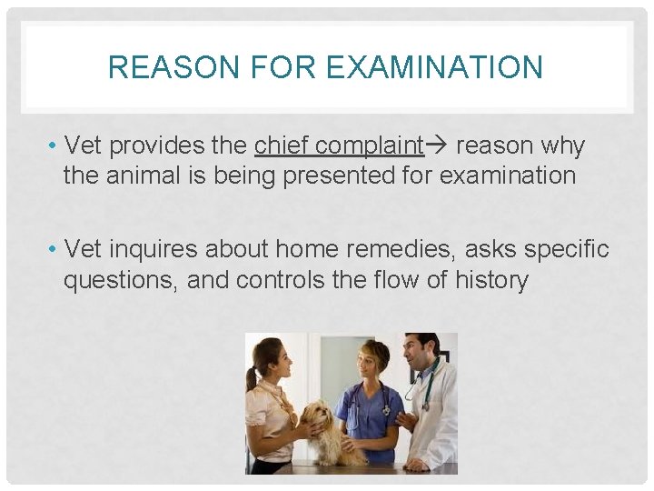 REASON FOR EXAMINATION • Vet provides the chief complaint reason why the animal is