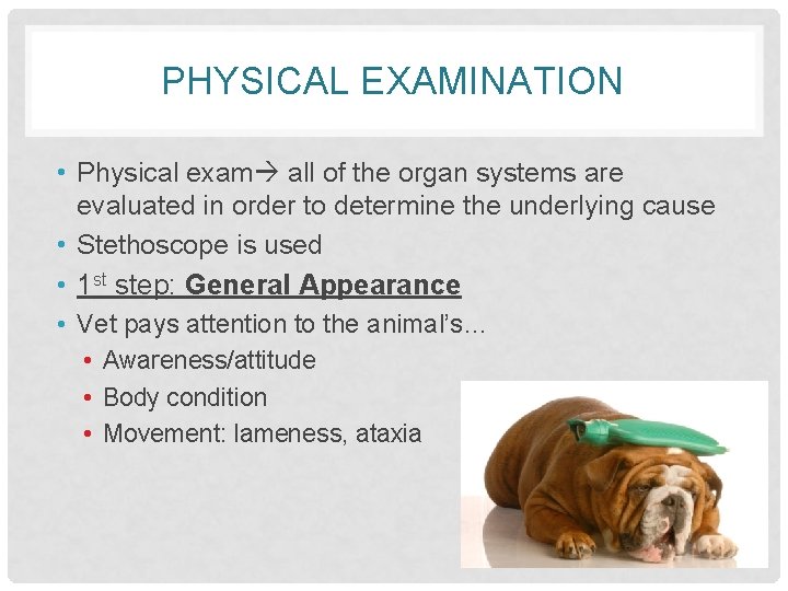 PHYSICAL EXAMINATION • Physical exam all of the organ systems are evaluated in order